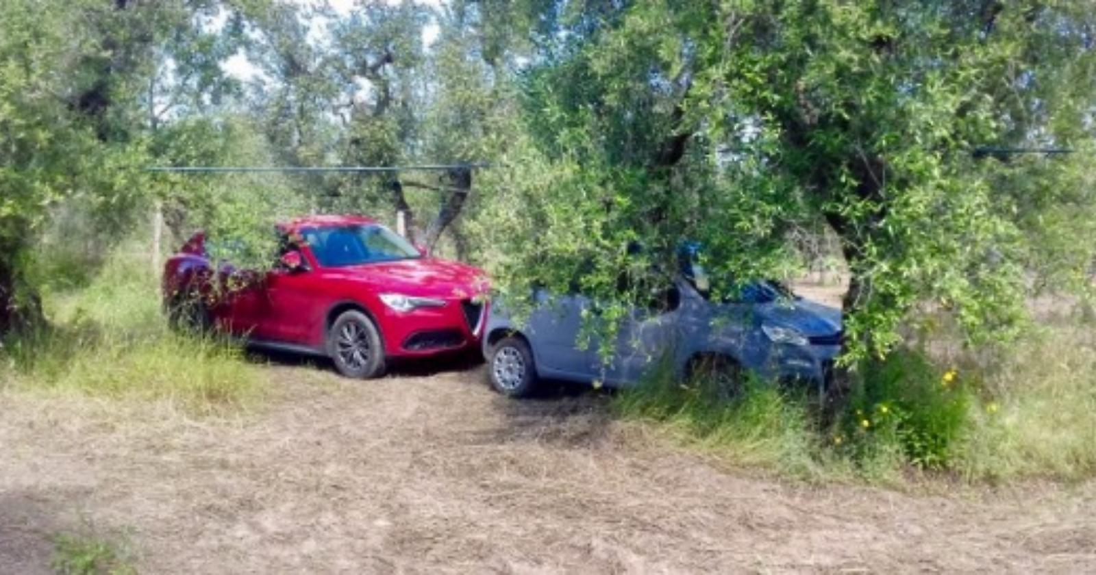 Cerignola, ritrovate una Fiat Stelvio e Panda: erano nascoste in un uliveto