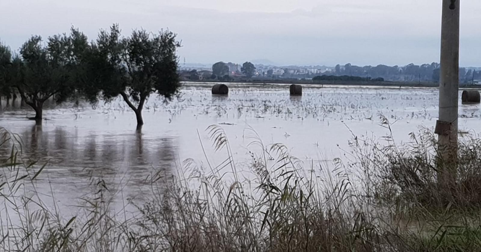 Allagamenti nel Metapontino, Pittella e Margiotta (Pd): "Silenzio dalla Regione"
