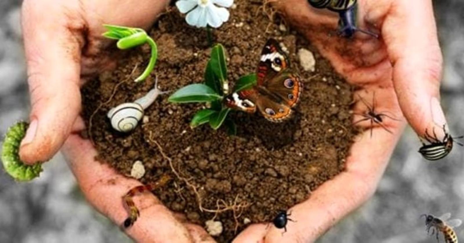 Biodiversità, concluso il percorso formativo degli studenti di Lagopesole