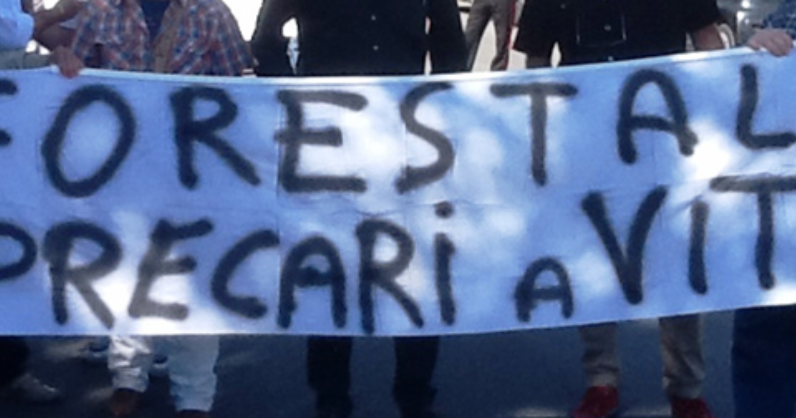 Forestazione, Usb indice una manifestazione a Potenza