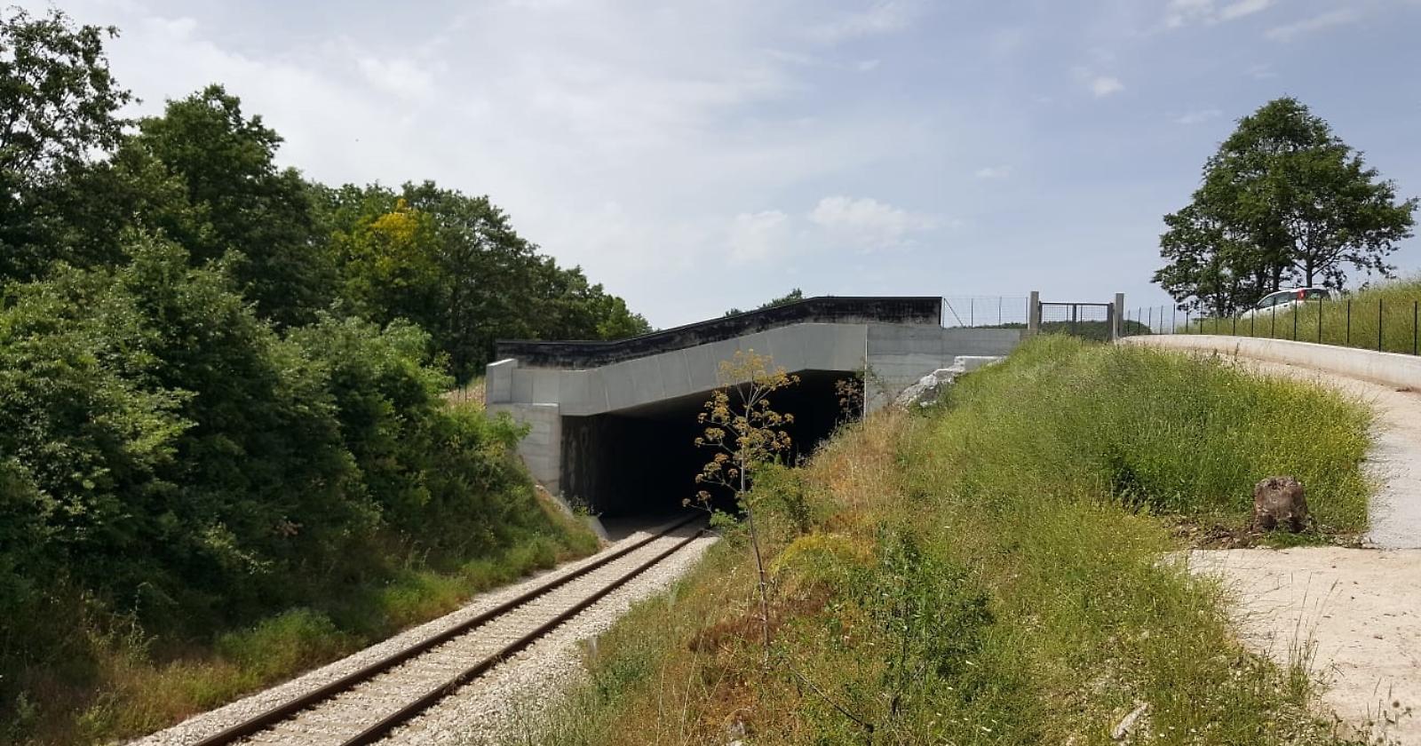 Treni sospesi dal primo luglio sulla Potenza Foggia, si viaggerà in autobus