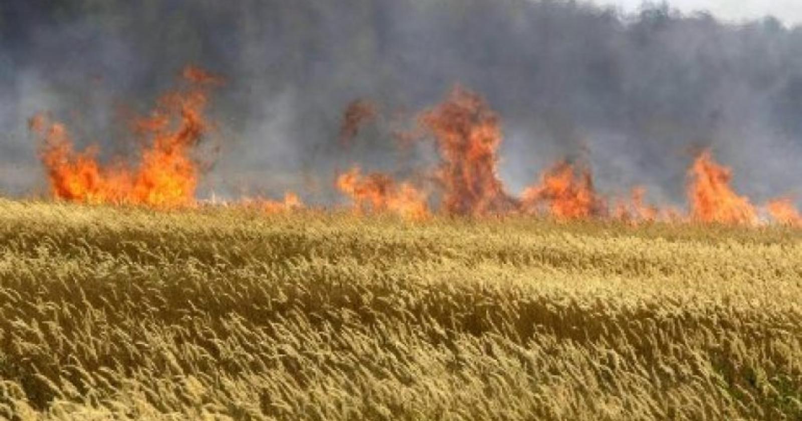San Severo, identificato l'agricoltore morto carbonizzato