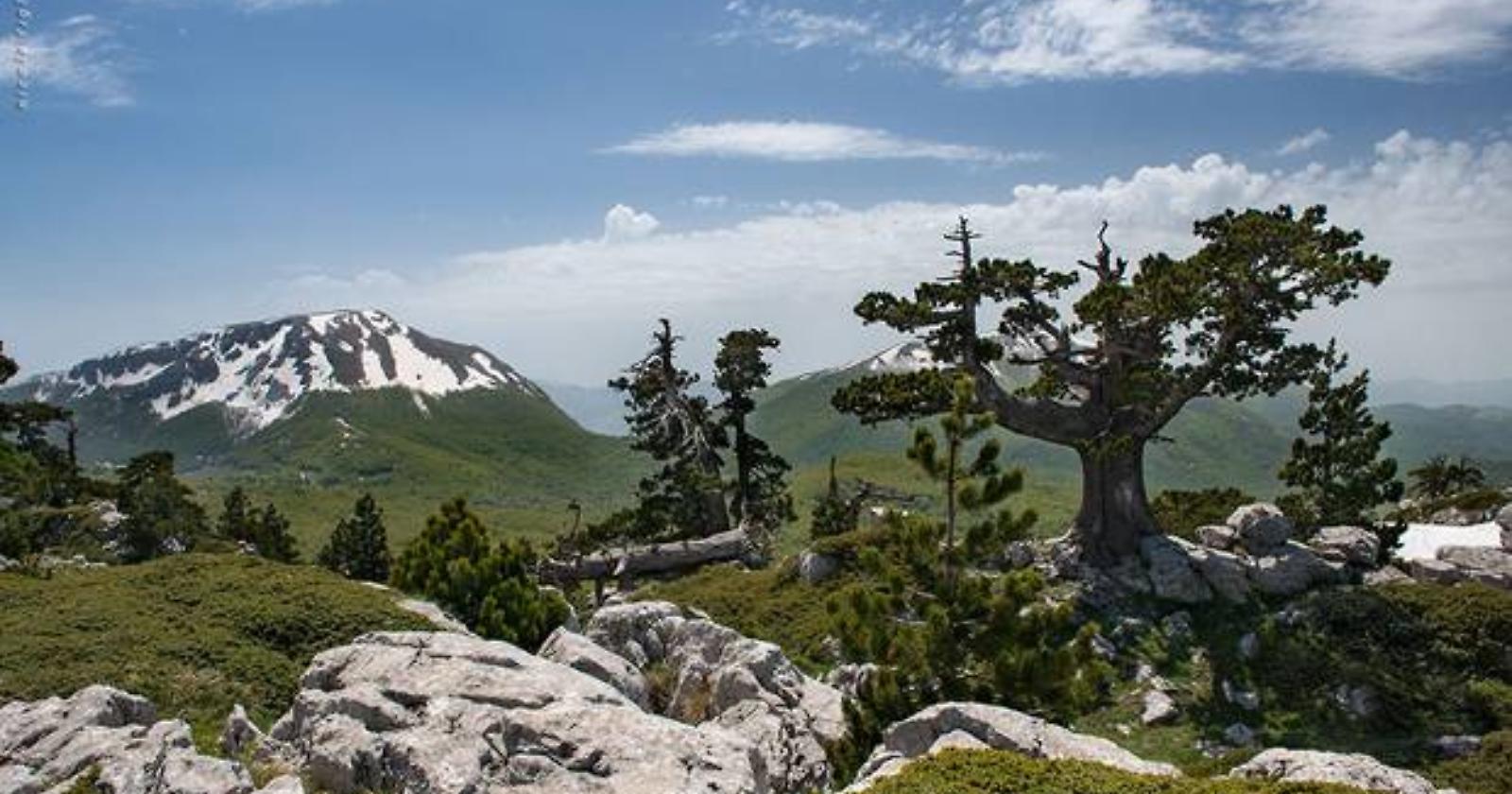 Pollino, oggi la visita ispettiva per la qualifica di Geoparco mondiale Unesco