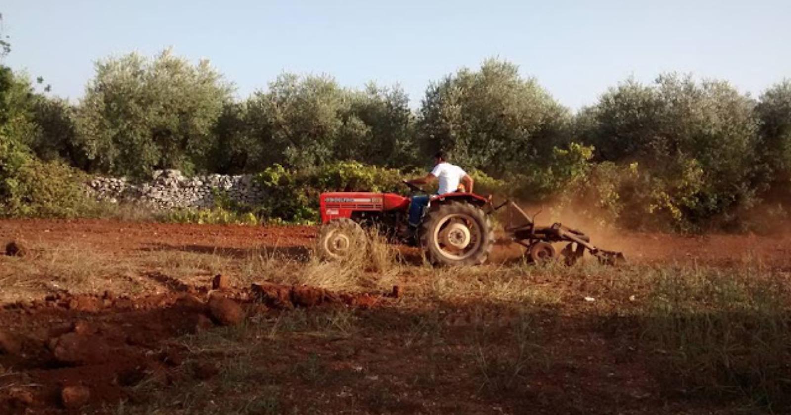 Per l'aratura di terreni, un pensionato foggiano, pregiudicato, prende a cazzotti un concorrente di Rignano Garganico