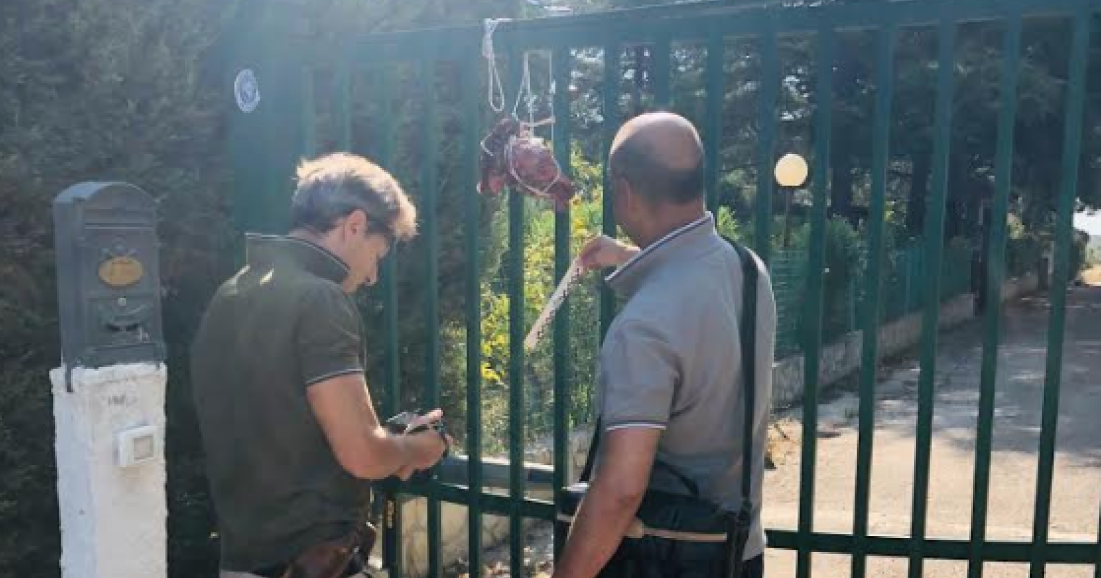 Foggia Calcio, la trattativa diventa mafiosa: teste d'agnello per Bacco, il medico legale che guida una cordata interessata al titolo agonistico