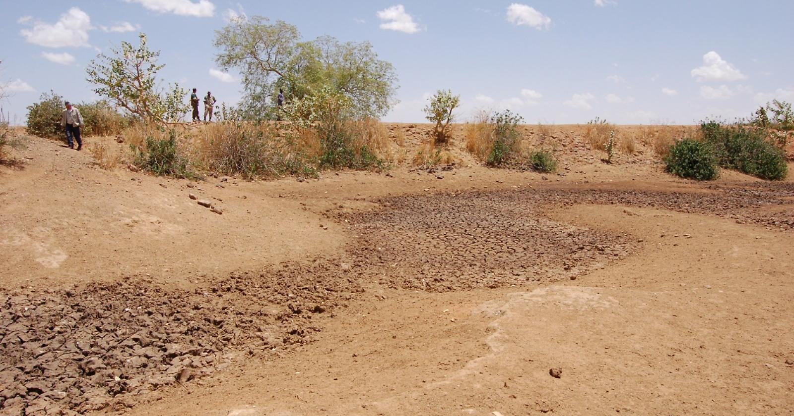 Surriscaldamento, CNR: "Maggiormente a rischio desertificazione Molise, Puglia e Basilicata"