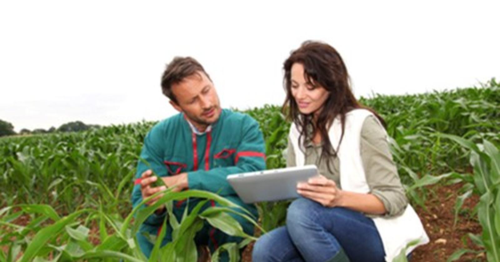 A Matera il congresso nazionale dell’Ordine dei dottori agronomi e dottori forestali