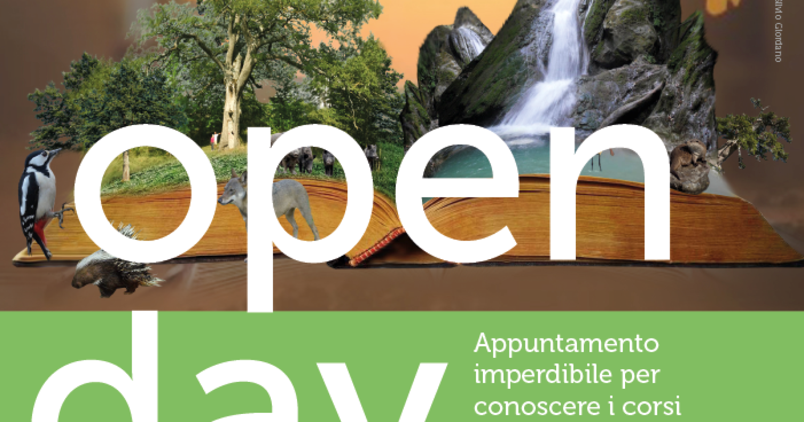 MuLabo Accademy, domani l'Open Day a Brienza
