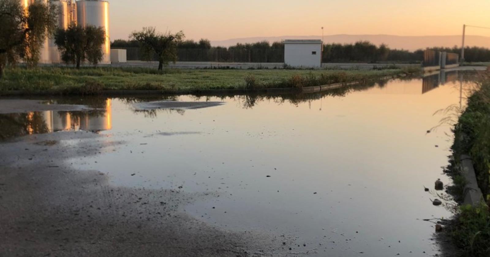 Sabotaggio di delinquenti ad una cantina di San Severo: vino lasciato scorrere a fiume nelle campagne