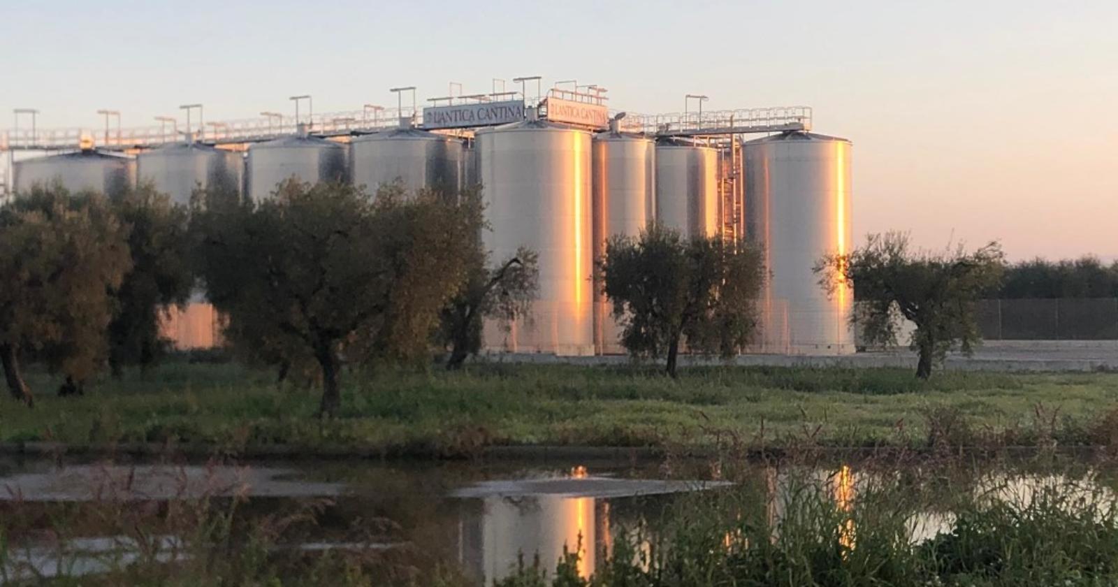 Sabotaggio all'Antica Cantina di San Severo: danni per un milione e mezzo di euro