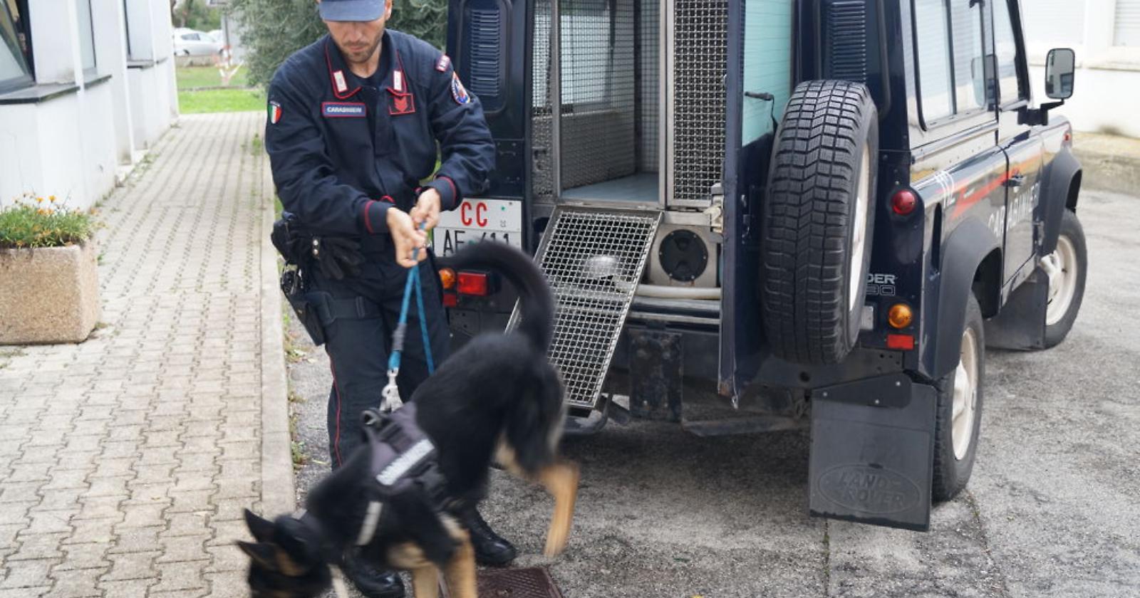 Operazione "Neve di marzo", soffocata dai carabinieri l'ennesima guerra tra clan sul Gargano: 15 arresti e trenta indagati a Vieste