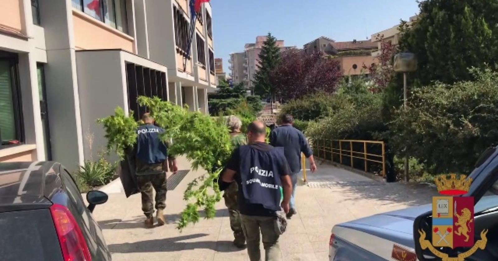 Colossale operazione antidroga della Polizia di Campobasso: 6 arresti e 70 perquisizioni, anche a Foggia