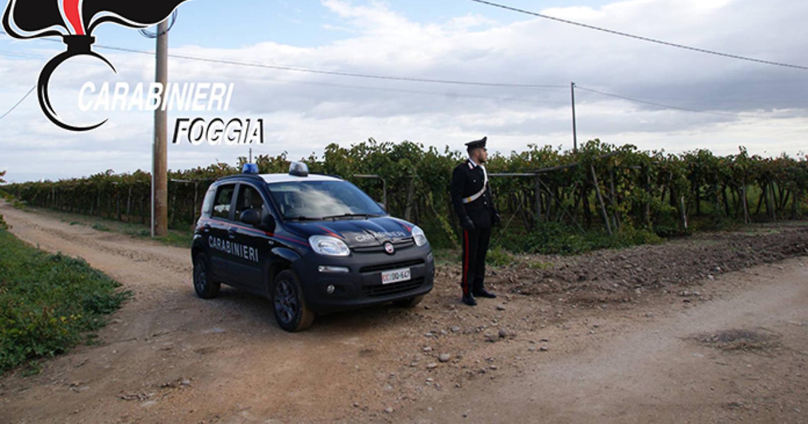 Malavita,  impresa agricola di Orta Nova sottoposta ad amministrazione giudiziaria