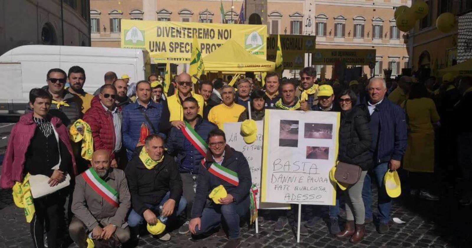 Emergenza cinghiali, oltre 100 agricoltori lucani in presidio a Roma