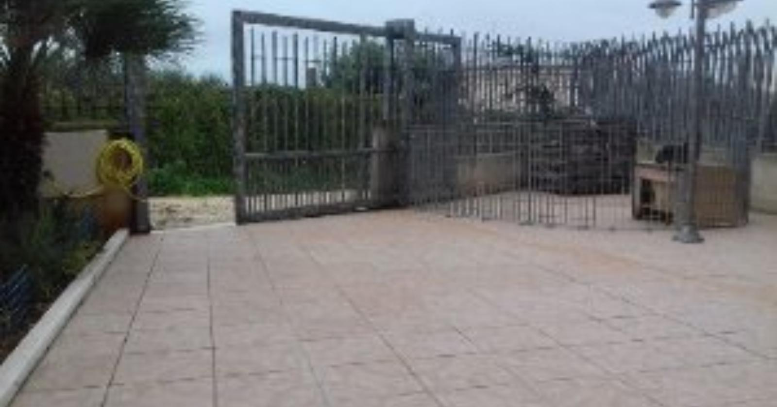Coppia di anziani di 82 anni bastonata e rapinata a Poggio Imperiale da due delinquenti