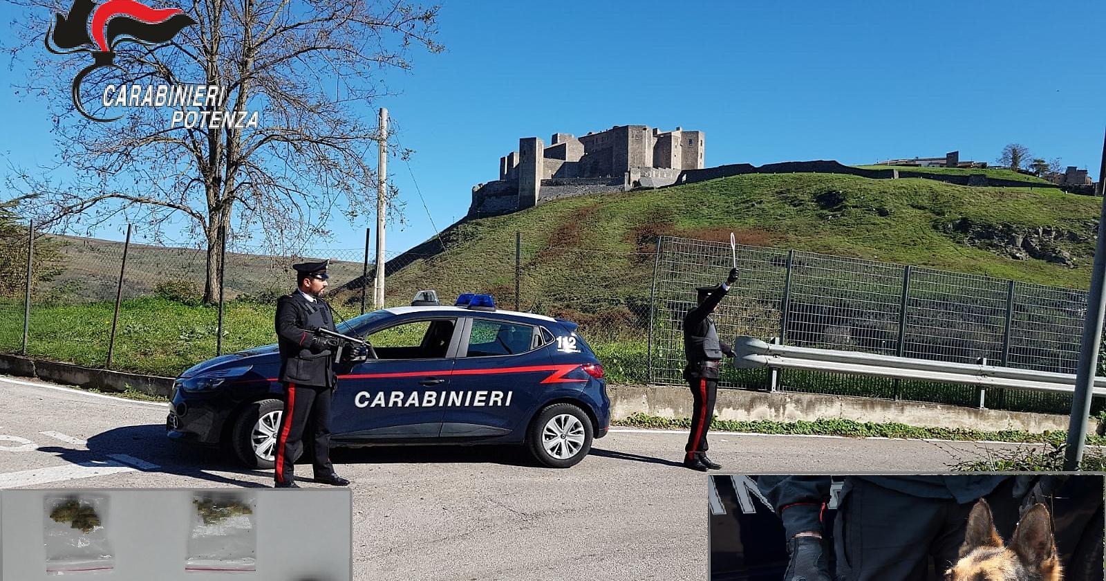 A Melfi il cane carabiniere "Gnom" scova droga vicino una scuola: denunciato quindicenne