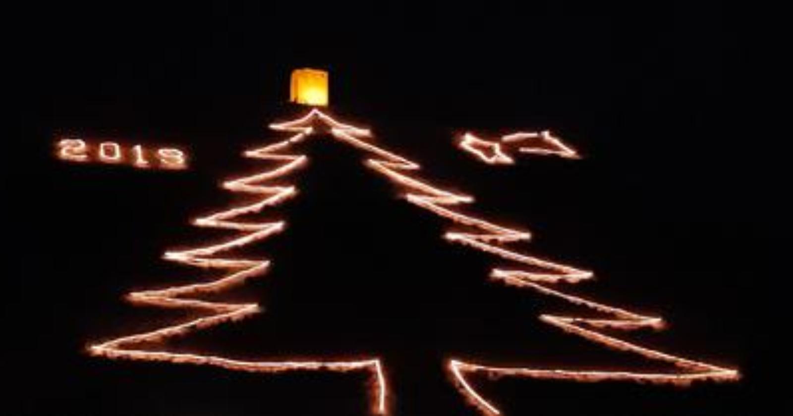 Tra Tito e Satriano l'albero lucano più grande della Basilicata