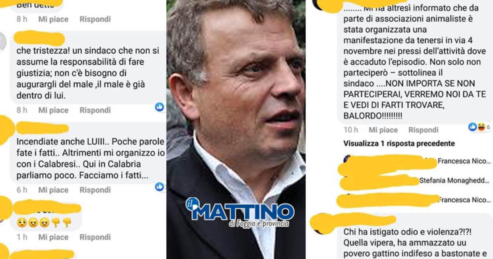 Il sindaco di Lucera minacciato di morte per il gattino ucciso a bastonate