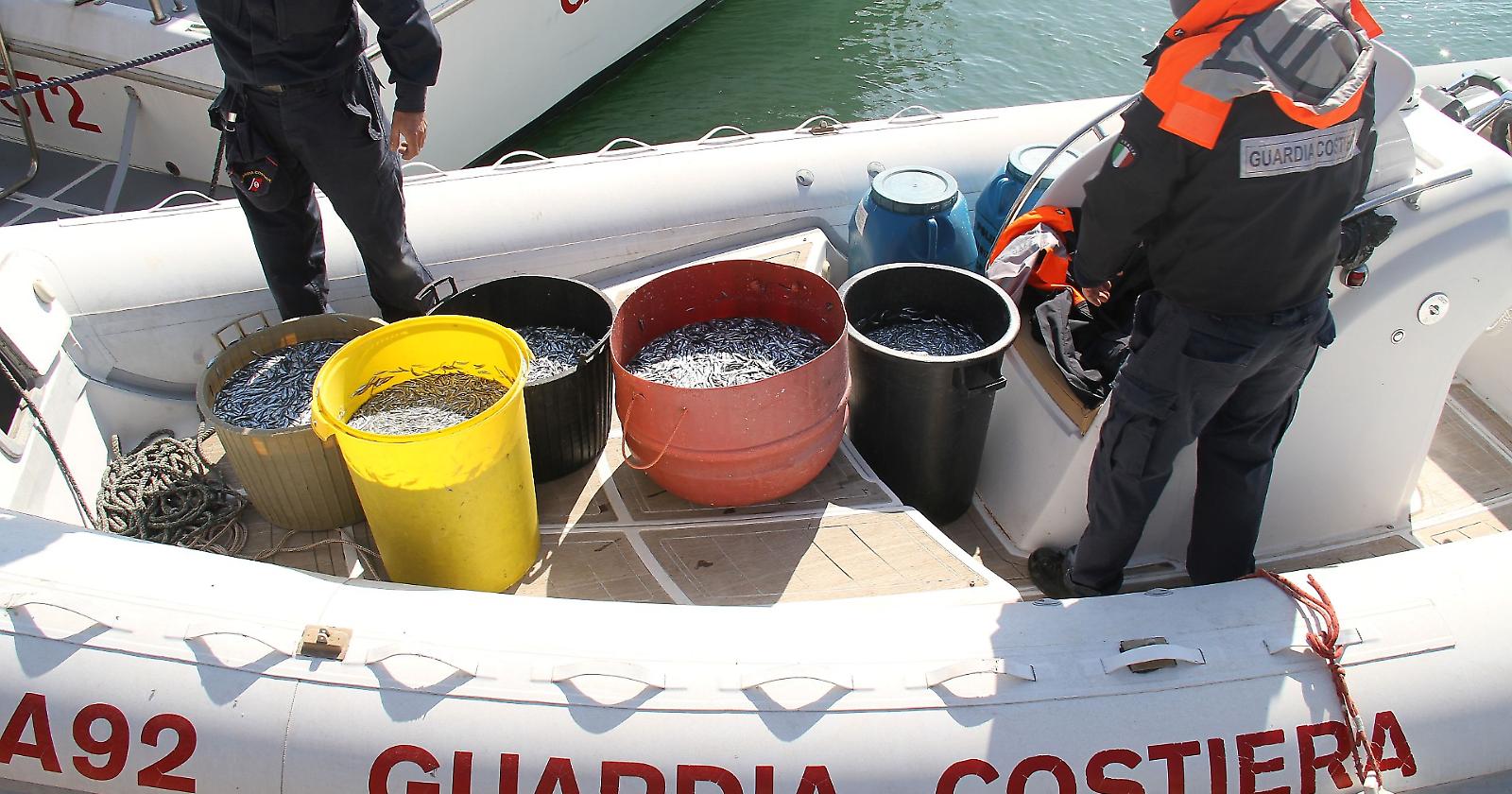 Pesca grossa della Guardia Costiera di Manfredonia: sequestrata una tonnellata e mezza di prodotti ittici