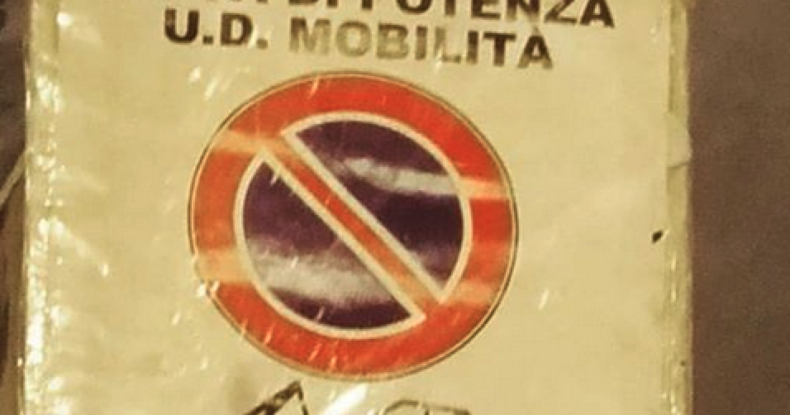 Potenza, «Disabilità bistrattata per il Capodanno Rai»