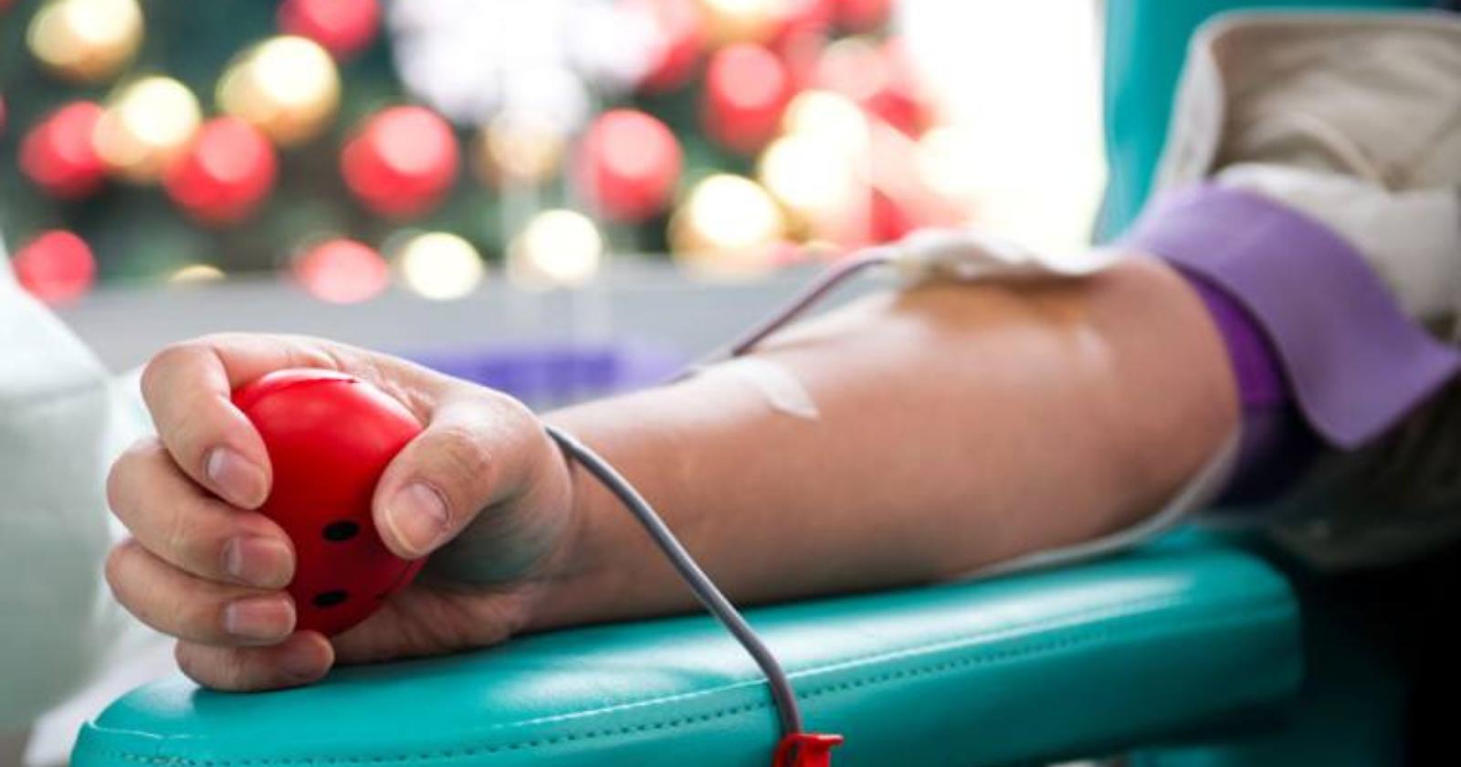 Il bilancio dell'Avis lucano: «18000 unità di sangue raccolte»