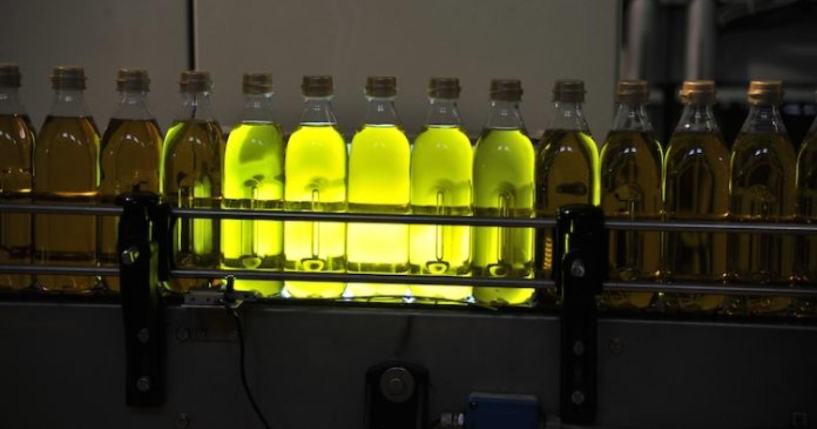 Da un frantoio di Lucera 1.200 litri di falso olio extravergine per le Marche, bloccato dai Carabinieri