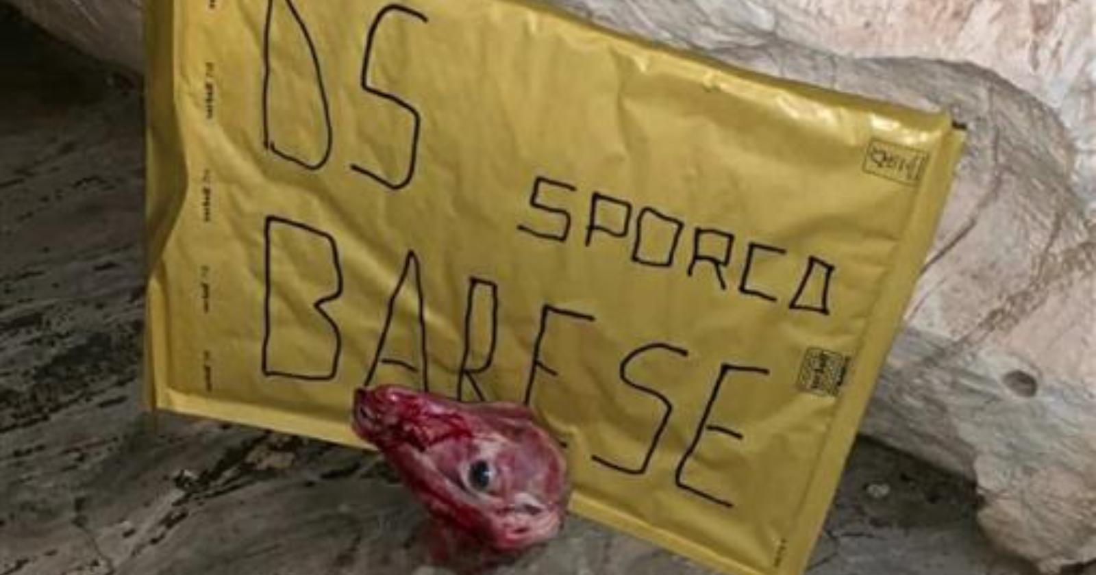 Testa mozzata di agnello per l'allenatore del Taranto dopo la sconfitta con il Foggia