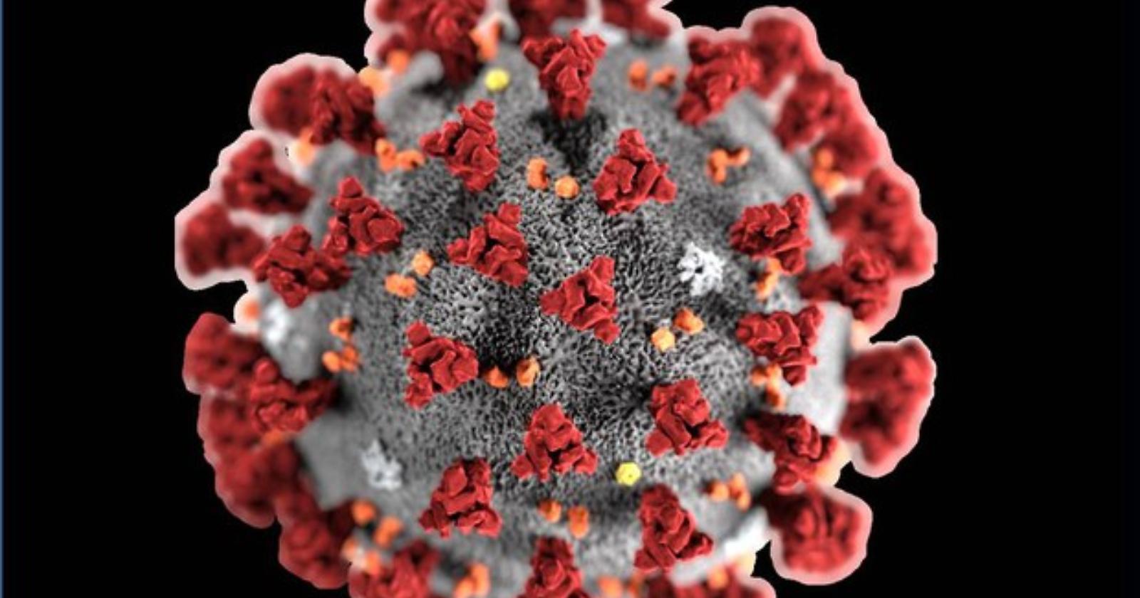 Coronavirus 