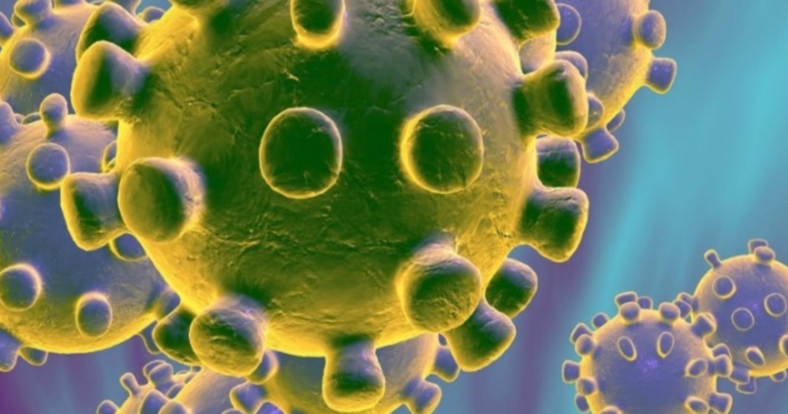 Coronavirus, salgono a 18 i contagiati in Basilicata