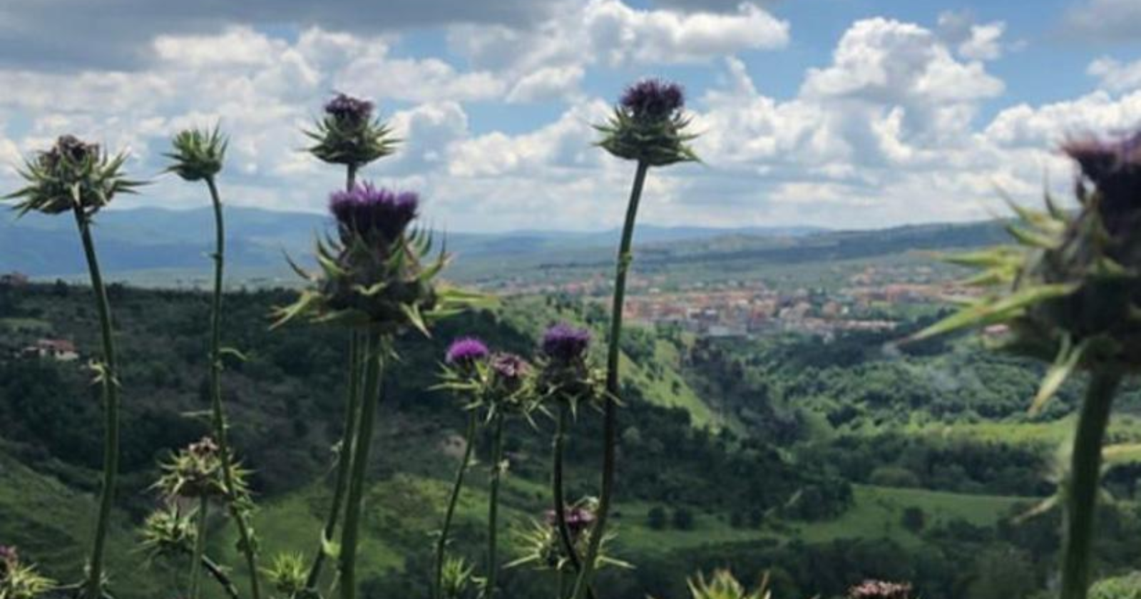 In tempo di coronavirus si sente forte il richiamo verso il proprio Paese. «Non può esser fuga dalle “guerre” attuali, ne riparo dalle paure, ma profonda consapevolezza di poter arricchire con l’esper