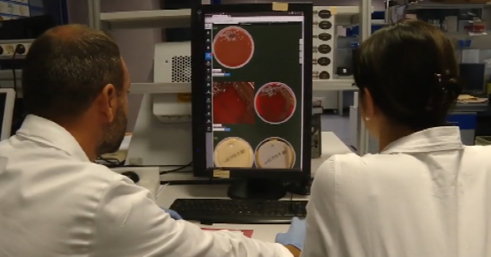 Coronavirus, il San Carlo ha comprato un nuovo macchinario per processare i tamponi
