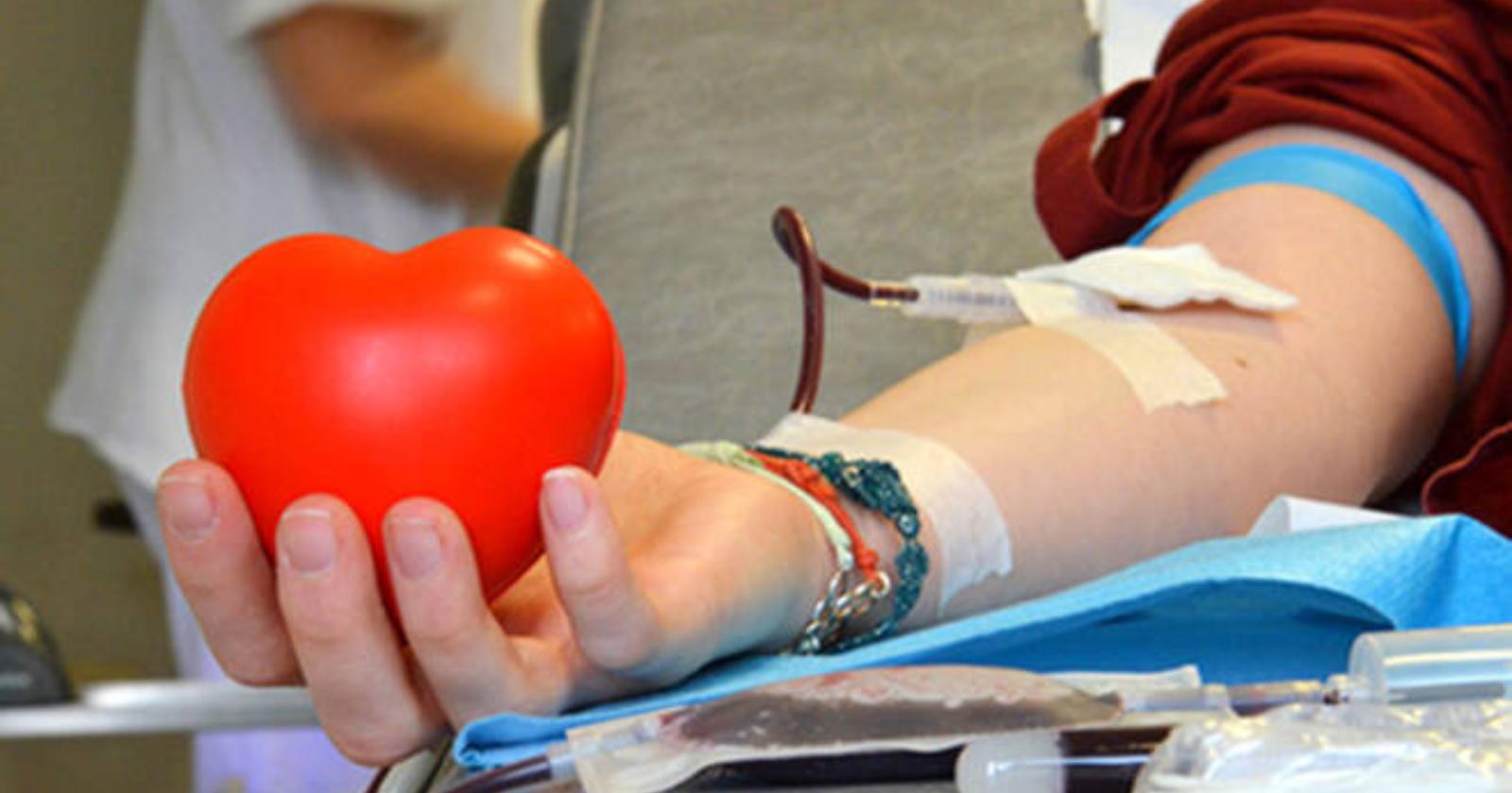 Coronavirus, parte in Puglia la sperimentazione dell'immunoterapia con il sangue dei pazienti guariti