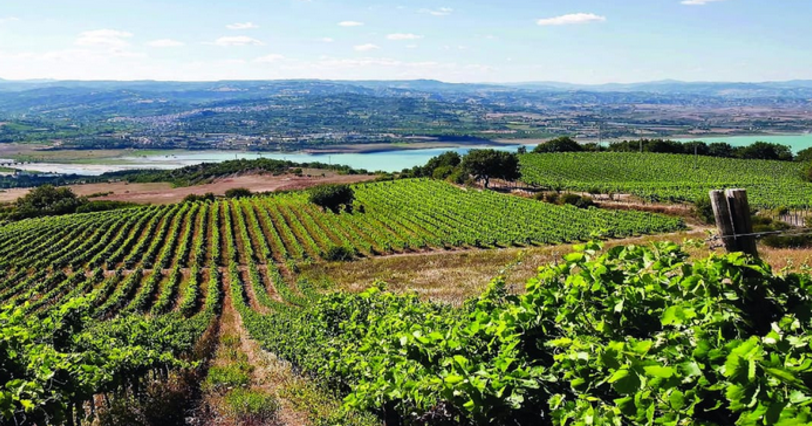 La vittoria della Tenuta Marino del prestigioso premio Città di Pramaggiore