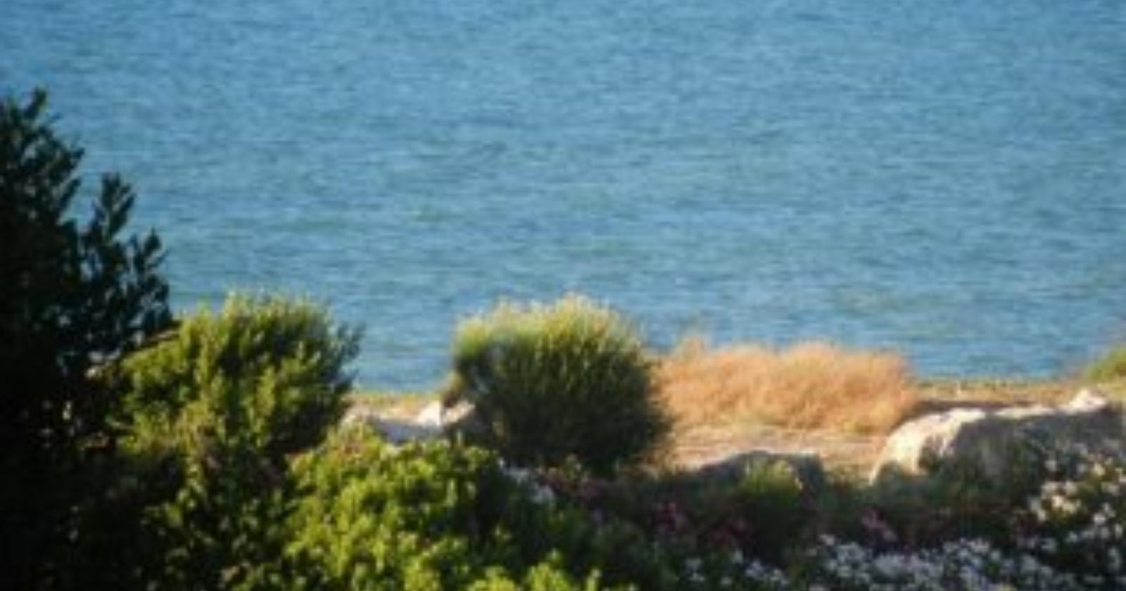 Due giovani sbandano e finiscono con l'auto in mare sul Gargano