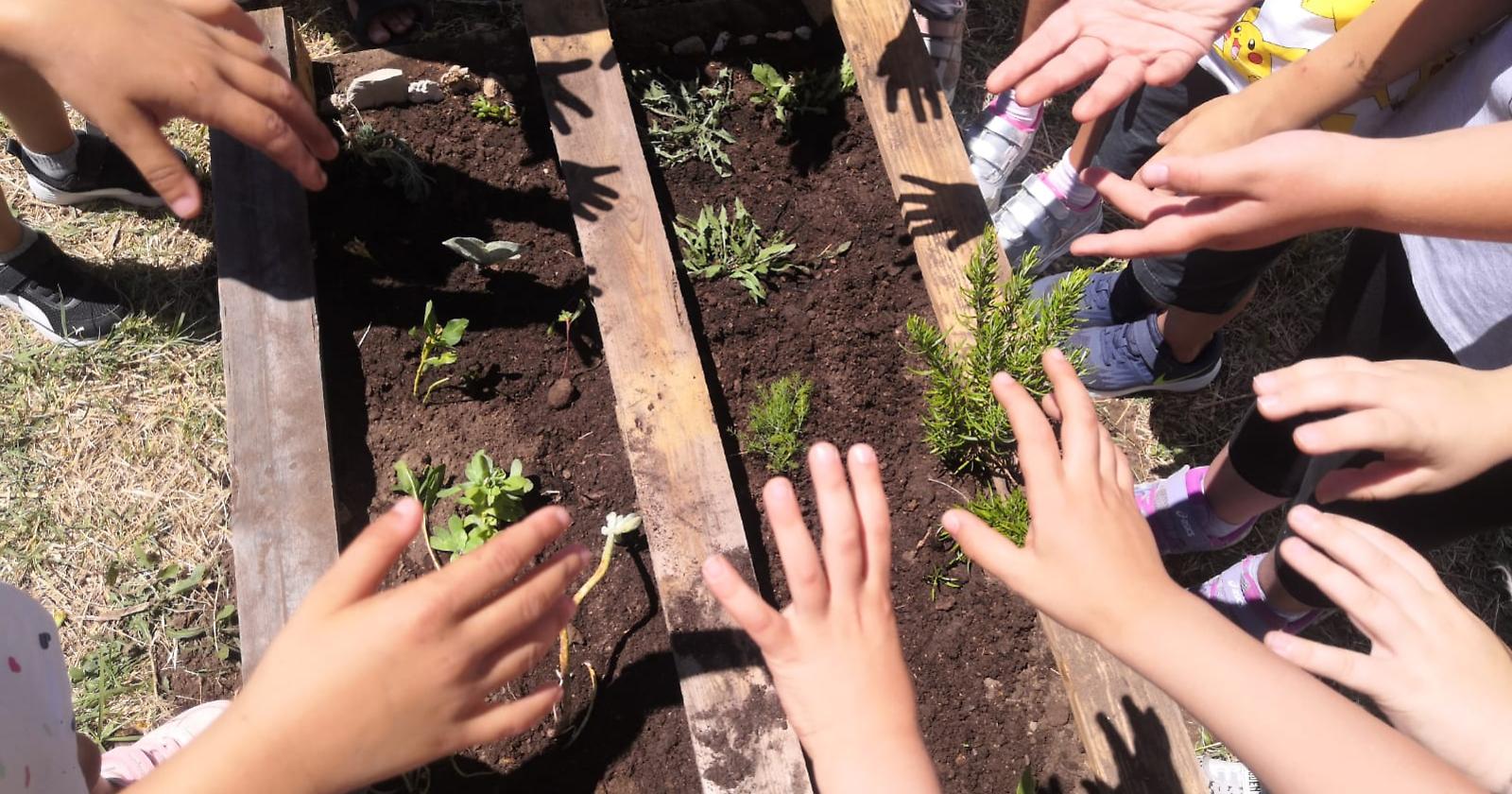 “Proteggiamoci dal Coronavirus”, giovedì 6 agosto a Montescaglioso un laboratorio educativo per bambini tenuto dalle associazioni di Protezione civile