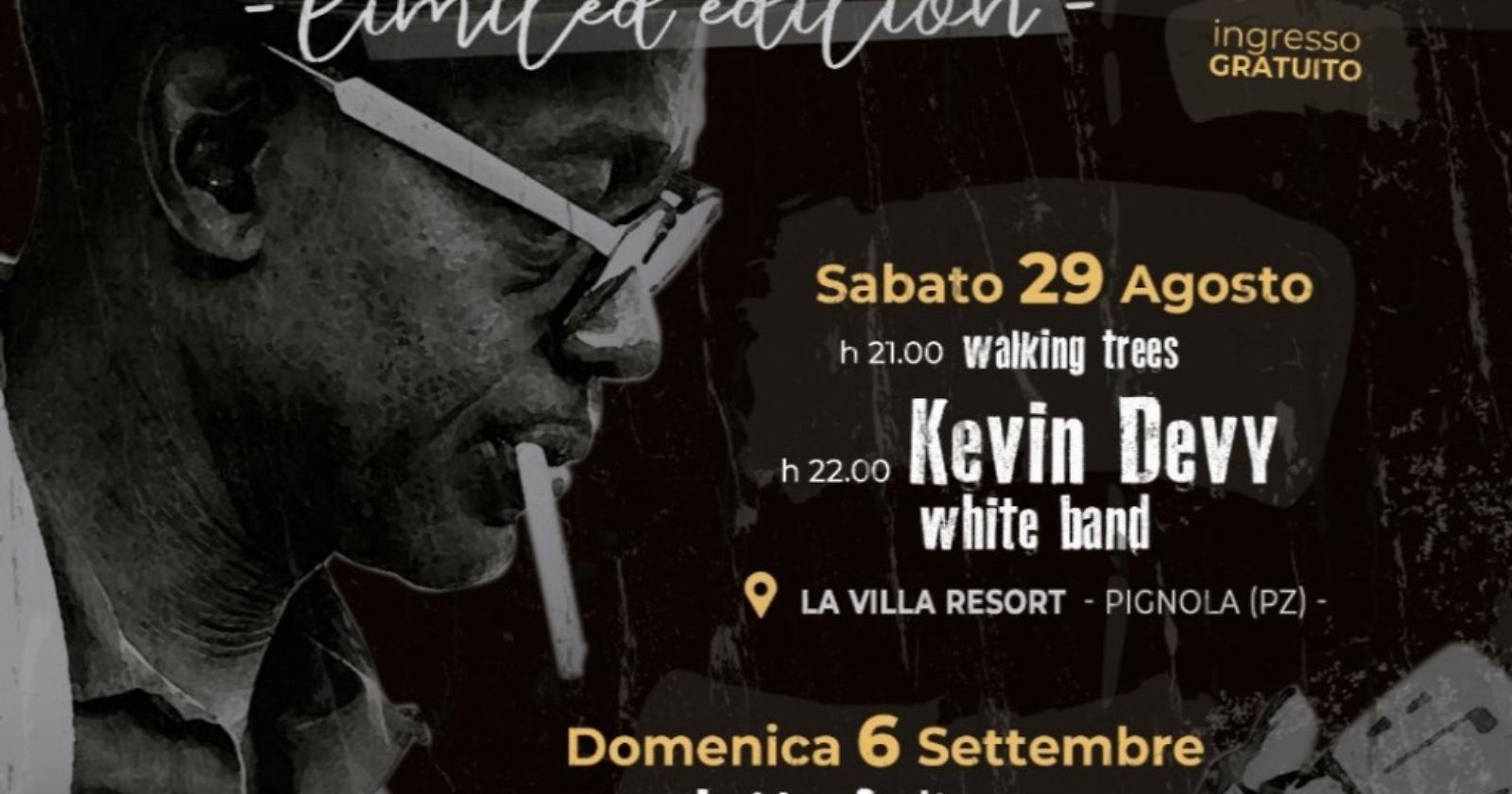 Domenica 6 Settembre seconda e ultima serata del Pignola in Blues 2020