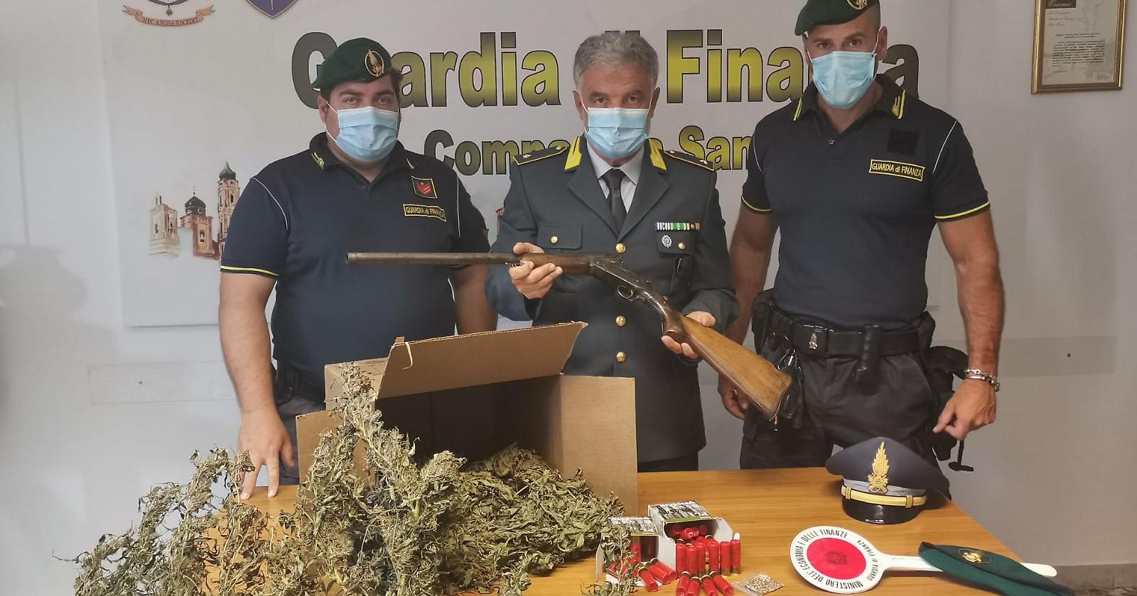 Tra Lucera e Serracapriola, la GdF sequestra tre piantagioni di cannabis arrestando un responsabile armato