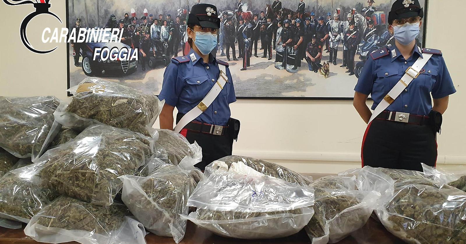 Da Vieste alla stazione di Foggia con 14 chili di marijuana: arrestati dai Carabinieri due pregiudicati