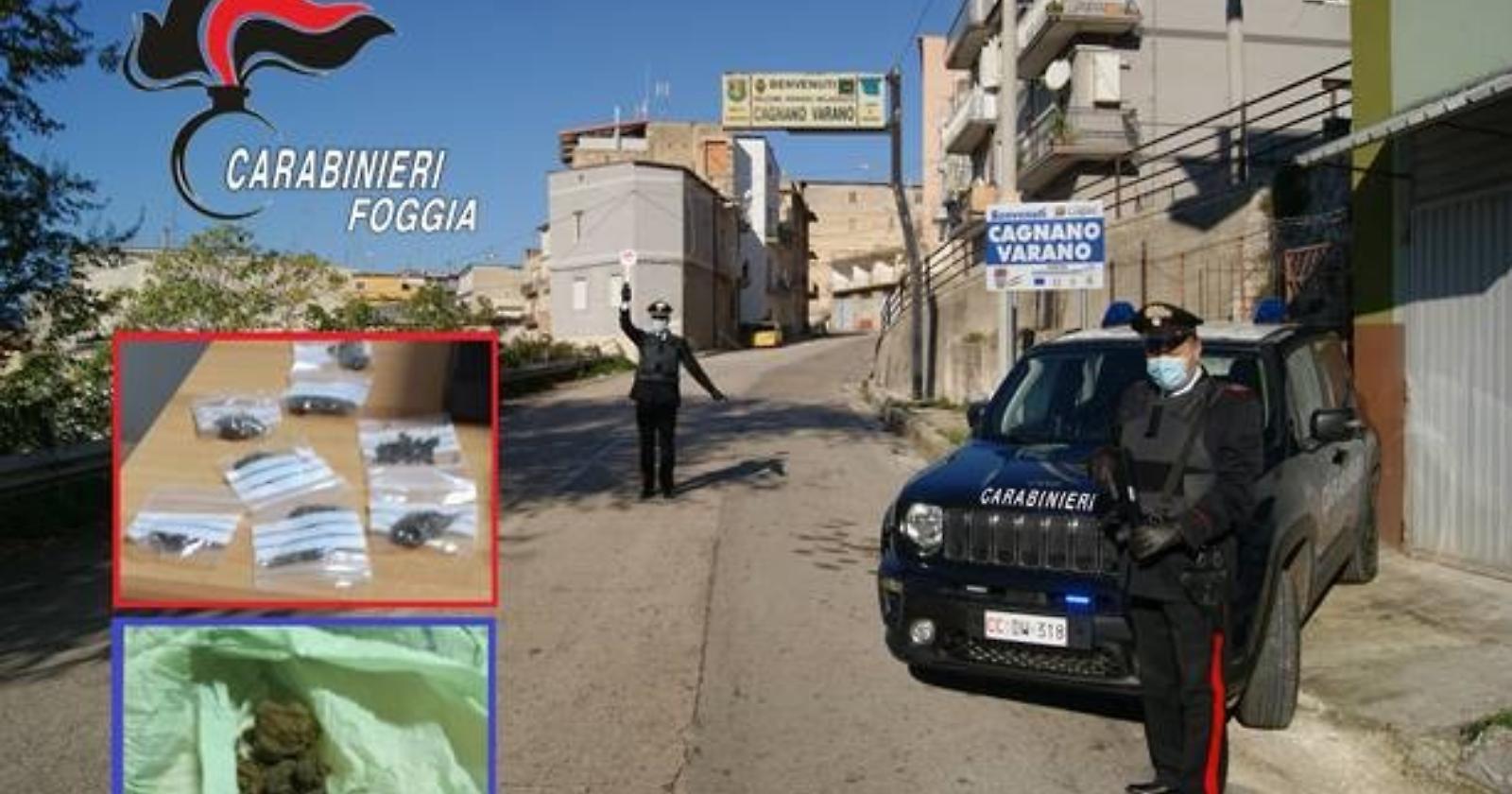I Carabinieri passano al setaccio il Gargano imbottito di droga tra cocaina nel motore, marijuana nei muri e dentro i calzini