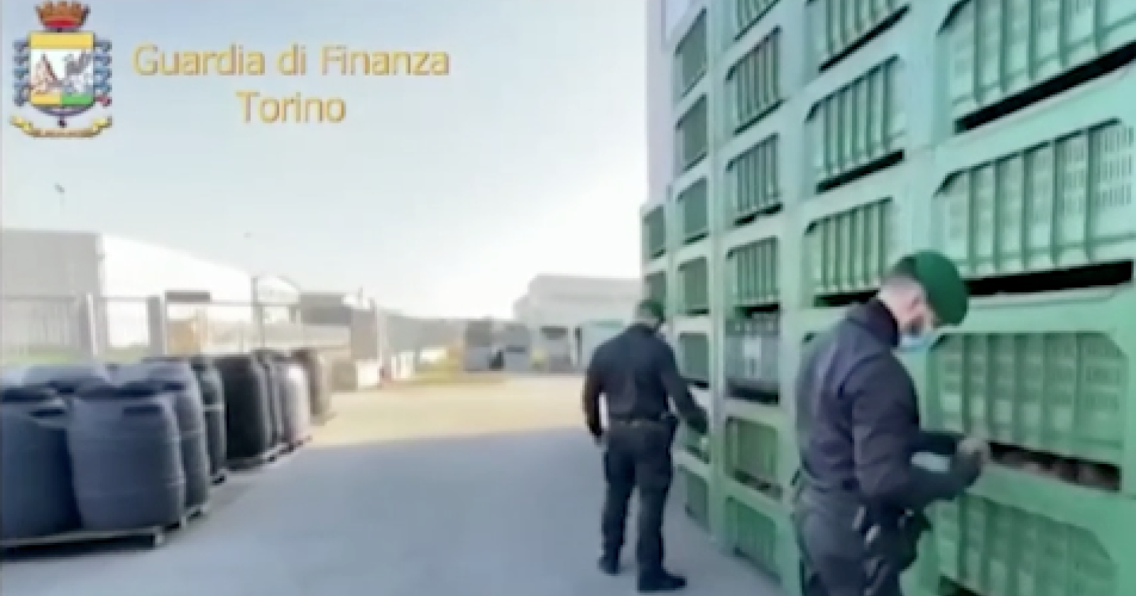 Nelle province di Foggia e Torino ortaggi, funghi, olive prodotti in Spagna, Francia e Ungheria ma spacciati come "made in Italy"