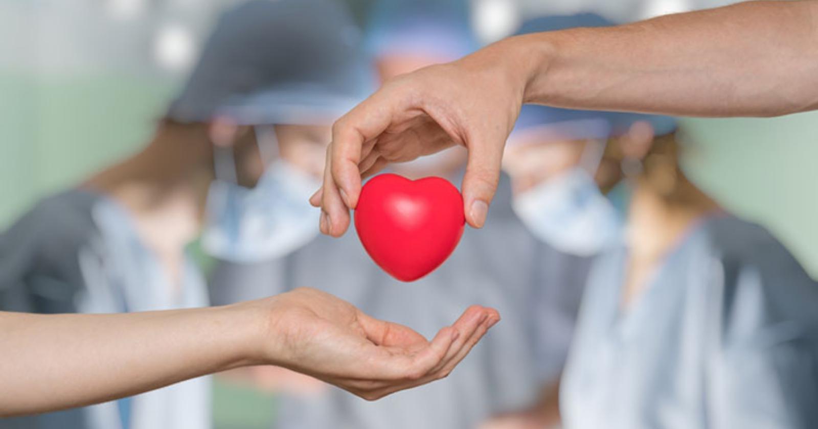 Foggia "maglia nera" anche per la donazione degli organi: la più generosa è Sassari