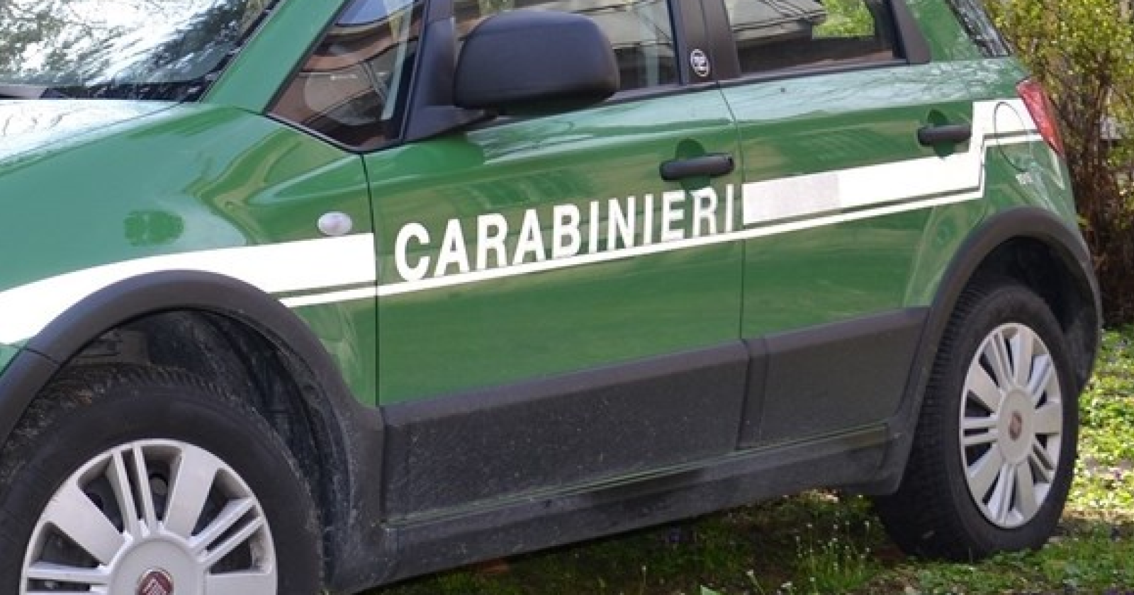 carabinieri forestali