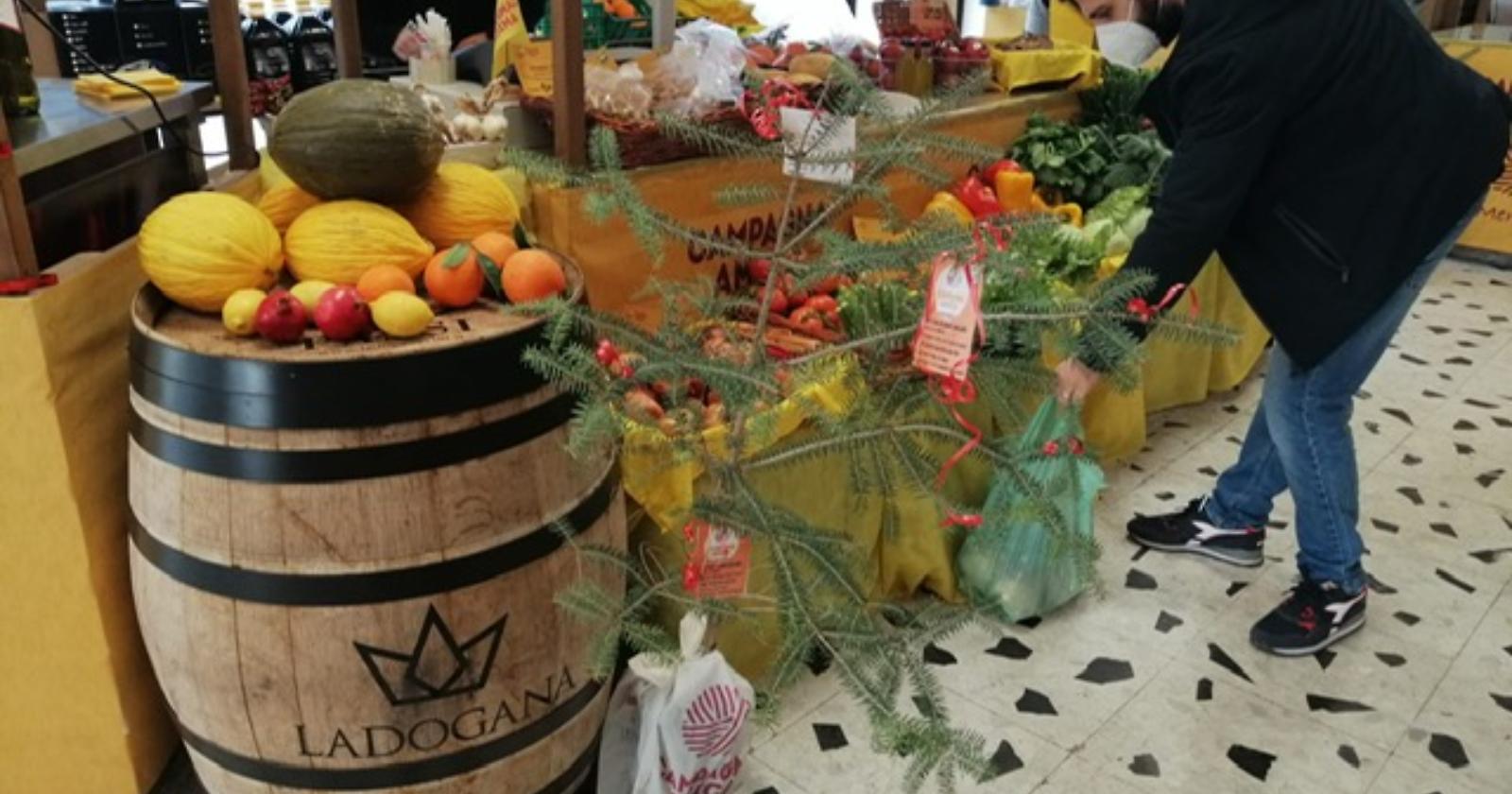 Il buon Natale di Coldiretti con gli "abeti della solidarietà" a Foggia