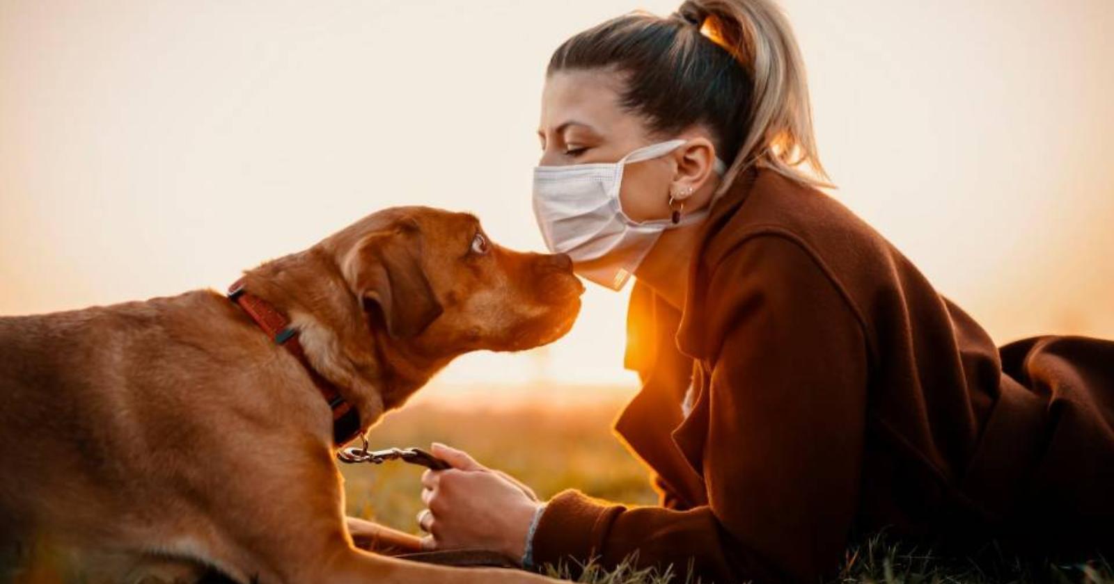 Quando il padrone finisce per somigliare al proprio cane, che c'azzecca il Covid?