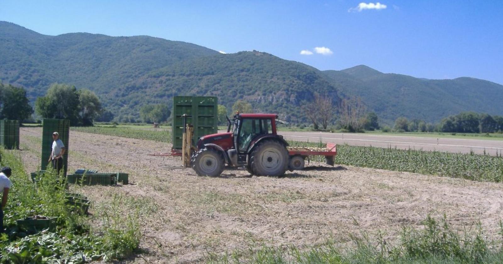 Basilicata: fino al 31 agosto stop lavoro agricolo da 12.30 alle 16. Bardi: «Provvedimento di civiltà»