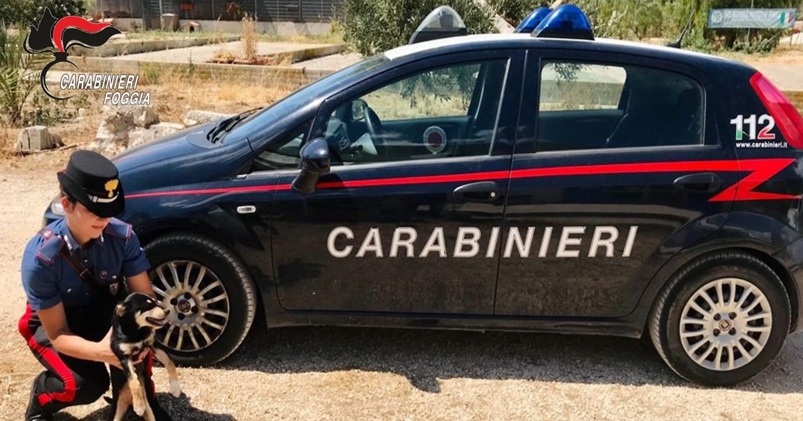 Legato ad un albero sotto il sole, senza cibo e acqua: i Carabinieri di Monte Sant'Angelo salvano il piccolo Argo affidando all'Enpa