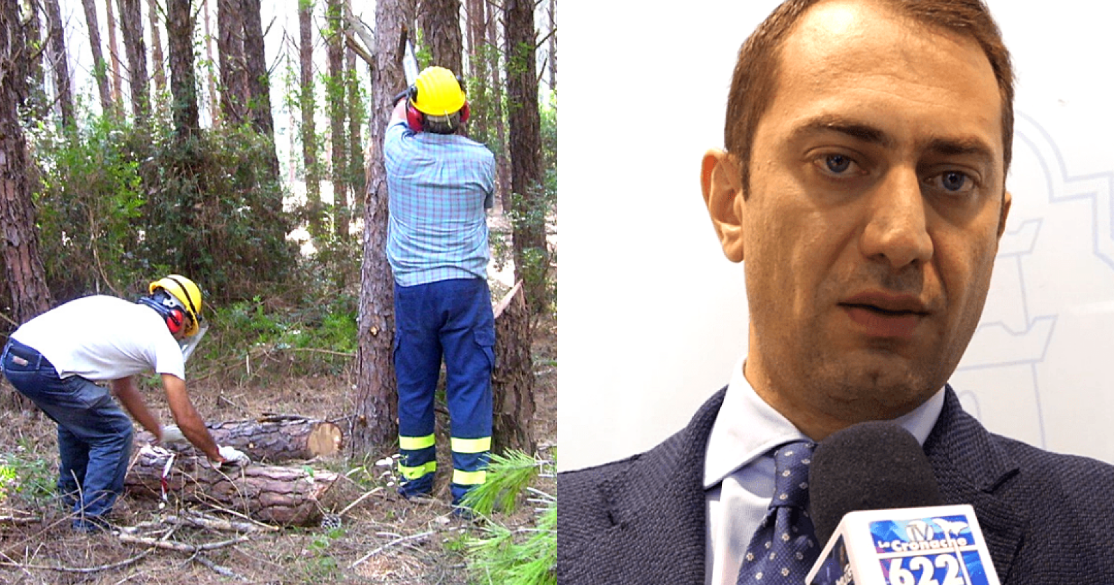 Gli addetti ai cantieri forestali chiedono chiarezza. Fai, Flai, Uila in pressing sull'assessore Fanelli