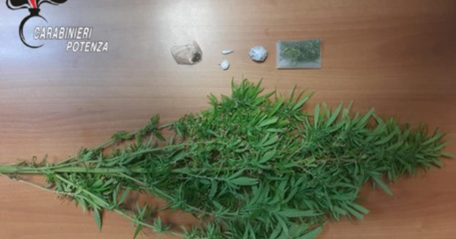 Cannabis sul balcone. Eroina, cocaina e hascisc: arrestato 48enne a Sant'Arcangelo