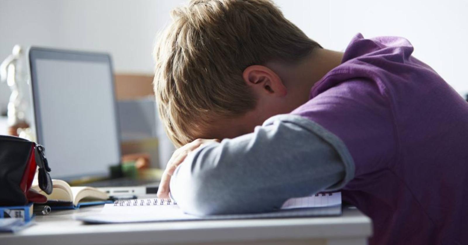 Il Tar Puglia annulla la bocciatura di uno studente di liceo: colpa della Dad che lo ha penalizzato