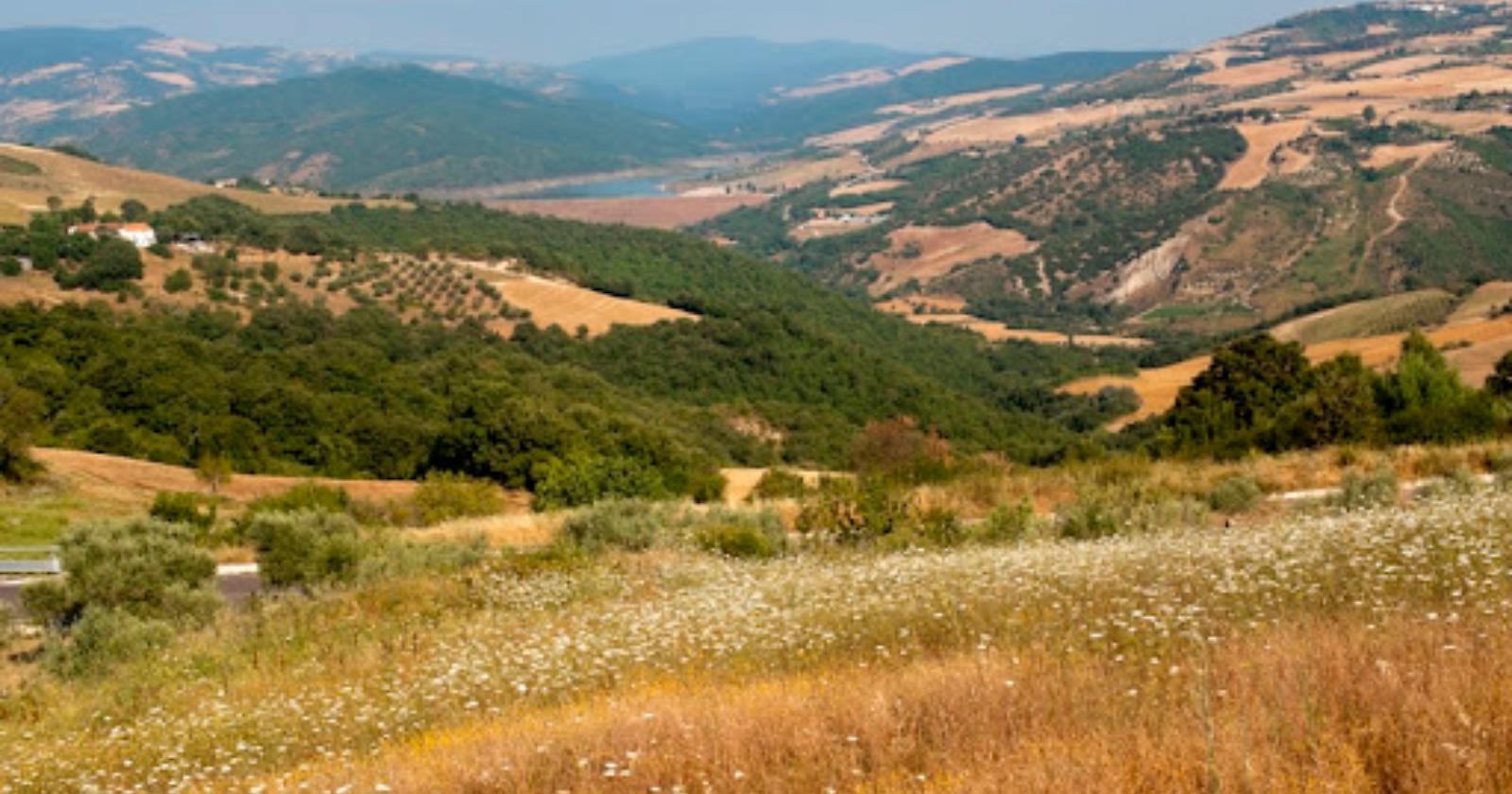 Gal Lucus: Biodistretto, al via il ciclo di incontri “Forum giovani- Alto Bradano”